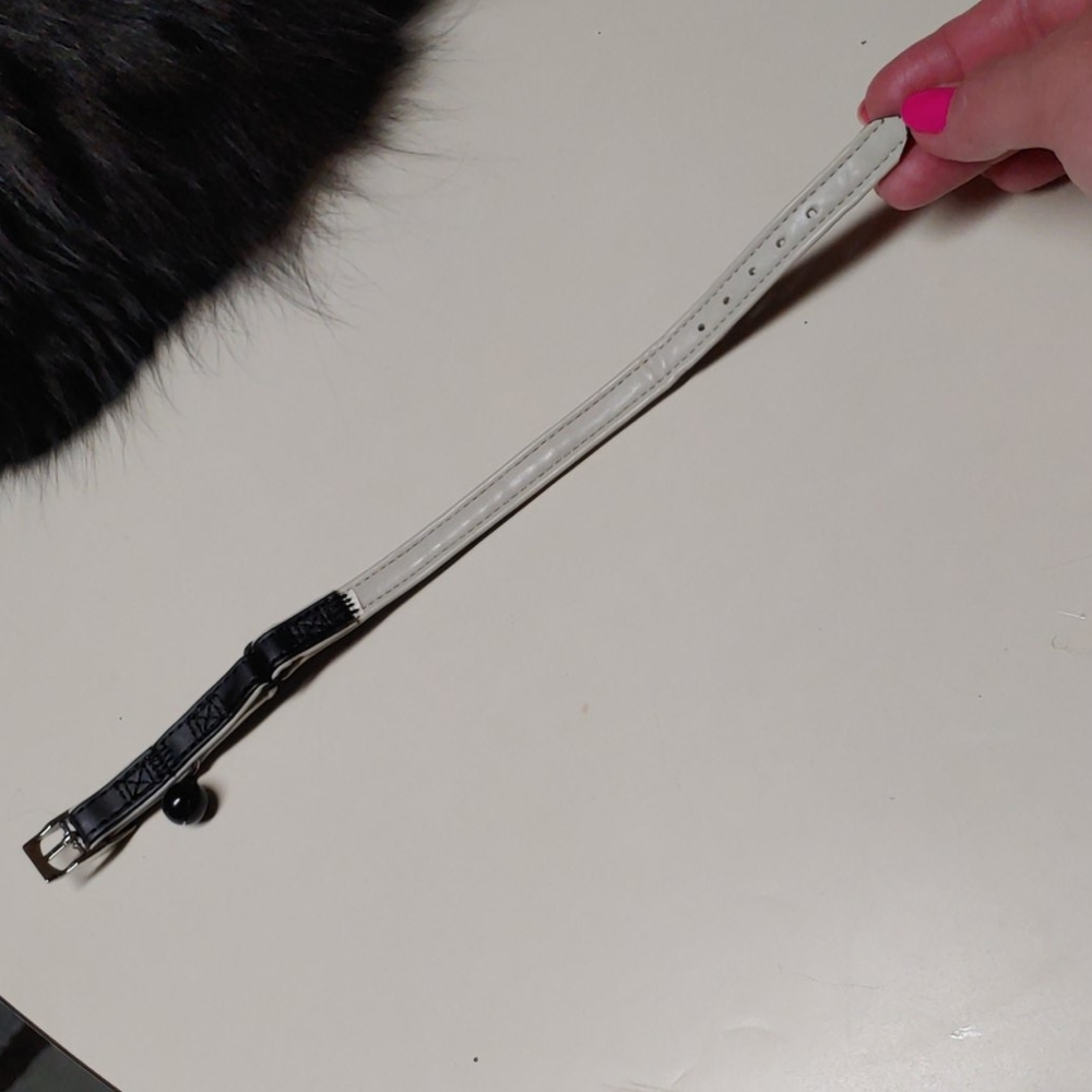 Cat Collar NWOT - Picture 5 of 5